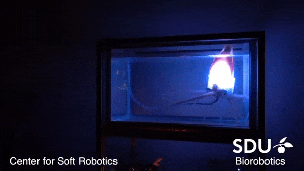 f74c9d3e-862b-11eb-8b86-12bb97331649.gif