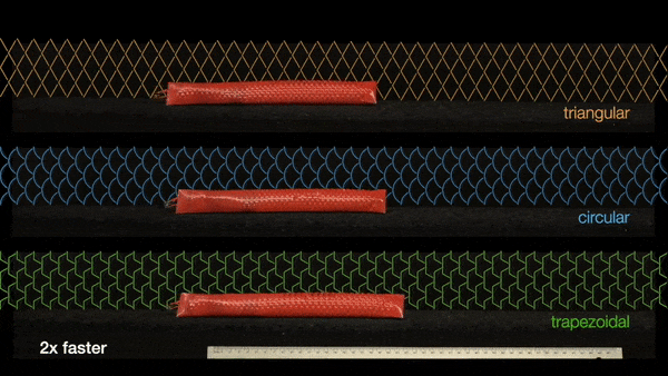 f34432c4-862b-11eb-8b86-12bb97331649.gif