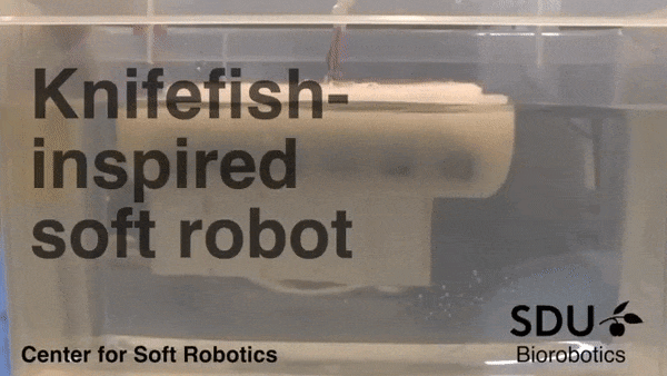 f9c7ff2c-862b-11eb-8b86-12bb97331649.gif