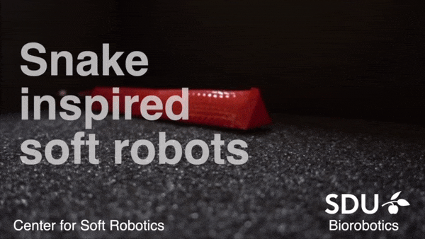 f122b40c-862b-11eb-8b86-12bb97331649.gif